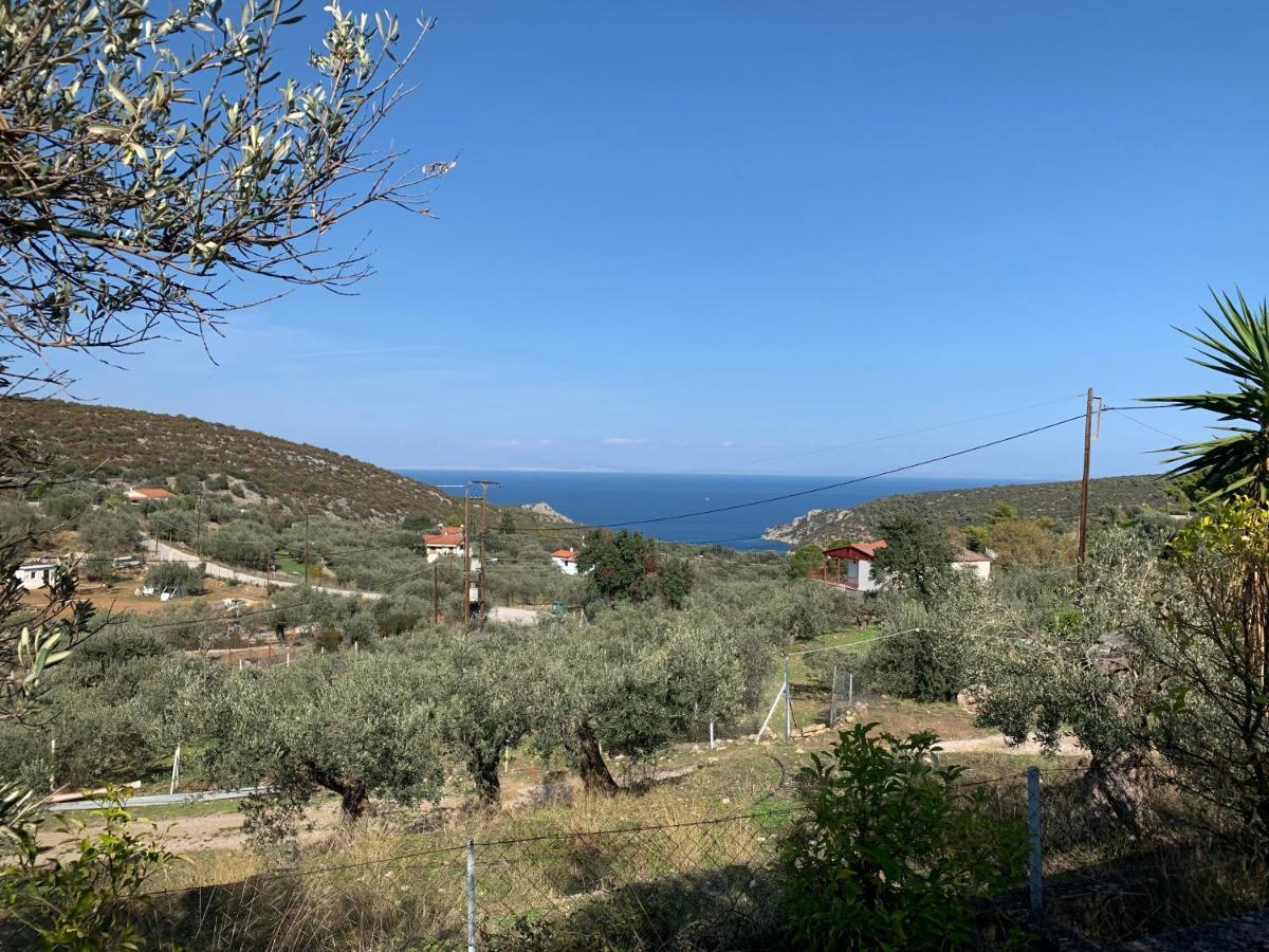 Poros TownOlive Hill Private House别墅 外观 照片