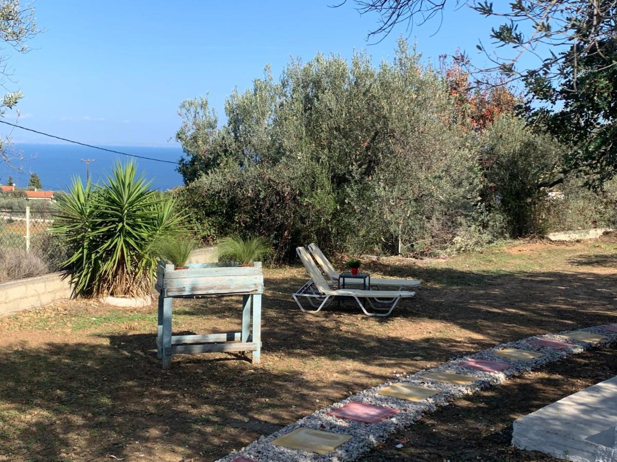 Poros TownOlive Hill Private House别墅 外观 照片